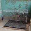 Code- 6045 Thin Metal Wire Cage with Tray, Food & Water Pot for Budgerigar,Lovebirds,Finches,Parrots,Hamster,Cockatiel, Chicken,Duck,Quail,Rabbit ,Cat,Dog ,Dove