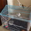Code- 6057 Premium House Shape Strong Metal Wire Pet Bird Cage in Bangladesh | Free Clay Pot & Special Gift Offer