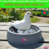 Pigeon Bird Breeding Nesting Bowl For Egg | Pigeon & Small Bird Laying Dish | Hatching Tray | bird cage,bird accessories,bird food,bird toys,bird nest,bird harness,bird cage big size,bird feeder,bird house,bird cage decoration
