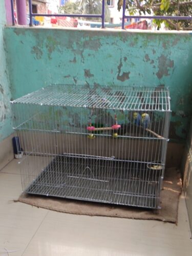 Code- 6045 Thin Metal Wire Cage with Tray, Food & Water Pot for Budgerigar,Lovebirds,Finches,Parrots,Hamster,Cockatiel, Chicken,Duck,Quail,Rabbit ,Cat,Dog ,Dove photo review
