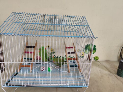 Code- 6057 Premium House Shape Strong Metal Wire Pet Bird Cage in Bangladesh | Free Clay Pot & Special Gift Offer photo review