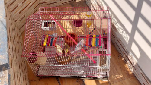 Code- 6057 Premium House Shape Strong Metal Wire Pet Bird Cage in Bangladesh | Free Clay Pot & Special Gift Offer photo review