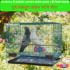 Code- 6058 – Premium Durable Square Shape Bird Colorful Metal Wire Bird Cage | Free Clay Pot & Special Gift Offer
