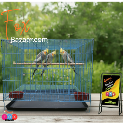 Code- 6058 – Premium Durable Square Shape Bird Colorful Metal Wire Bird Cage Free Clay Pot & Special Gift Offer