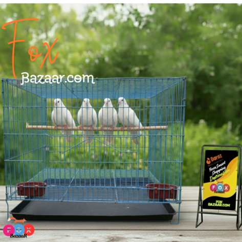 Code- 6058 – Premium Durable Square Shape Bird Colorful Metal Wire Bird Cage Free Clay Pot & Special Gift Offer