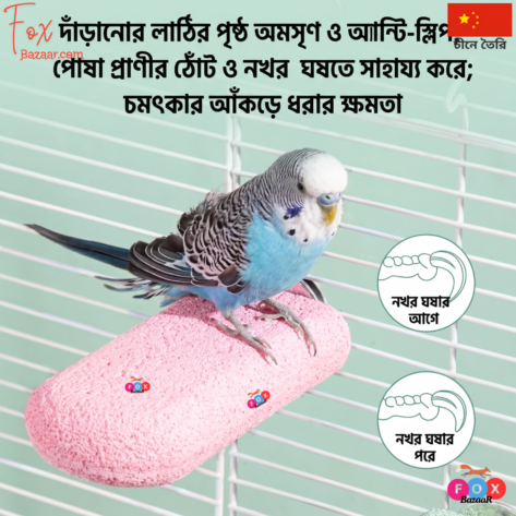 Resin Bird Standing Perch & Grinding Rod - Non-Slip Bird Cage Accessory for Parrots, Budgies, and Lovebirds - Claw Trimming Station Rack | bird cage,bird accessories,bird,bird food,birds accessories,bird toy,bird nest,birds,bird feeder, bird c