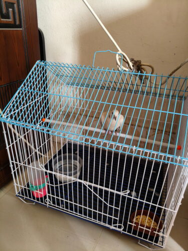 Code- 6057 Premium House Shape Strong Metal Wire Pet Bird Cage in Bangladesh | Free Clay Pot & Special Gift Offer photo review