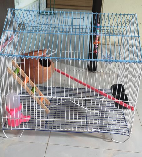 Code- 6057 Premium House Shape Strong Metal Wire Pet Bird Cage in Bangladesh | Free Clay Pot & Special Gift Offer photo review