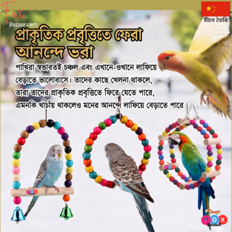 Colorful Wooden Bird Toy 's - Hanging Swing, Ladder, and Bell Toys for Budgies, Parrots, and Lovebirds | bird cage,bird accessories,bird,bird food,birds accessories,bird toy,bird nest,birds,bird feeder, bird cage big size,bird harness,bird di