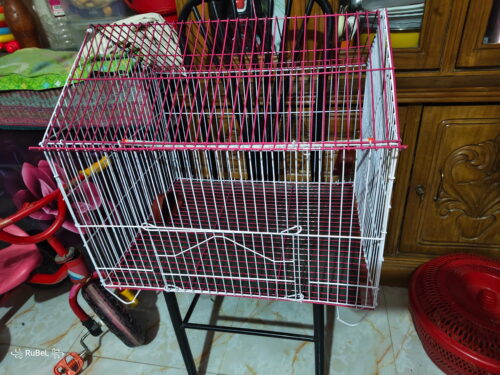 Code- 6057 Premium House Shape Strong Metal Wire Pet Bird Cage in Bangladesh | Free Clay Pot & Special Gift Offer photo review