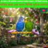 Bird Beaded Swing Set | Wooden Perch & Hanging Toy | Colorful Bird Swing | bird cage,bird accessories,bird food,bird toys,bird nest,bird harness,bird cage big size,bird feeder,bird house,bird cage decoration,bird cage big size steel