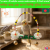 Bird Beaded Swing Set | Wooden Perch & Hanging Toy | Colorful Bird Swing | bird cage,bird accessories,bird food,bird toys,bird nest,bird harness,bird cage big size,bird feeder,bird house,bird cage decoration,bird cage big size steel