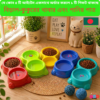 Cat & Dog Double Food & Water Bowl | 10-Inch Two-in-One Pet Feeder | Durable Plastic | cat, cat food, cat belt, cat house, cat litter, cat bag, cat dress, cat toy, cat accessories, cat litter box, cat shampoo, cat toys, cat bed, cat car