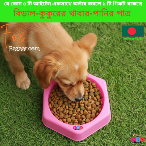 Cat & Dog Food & Water Bowl | 6-Inch Durable Plastic Pet Dish