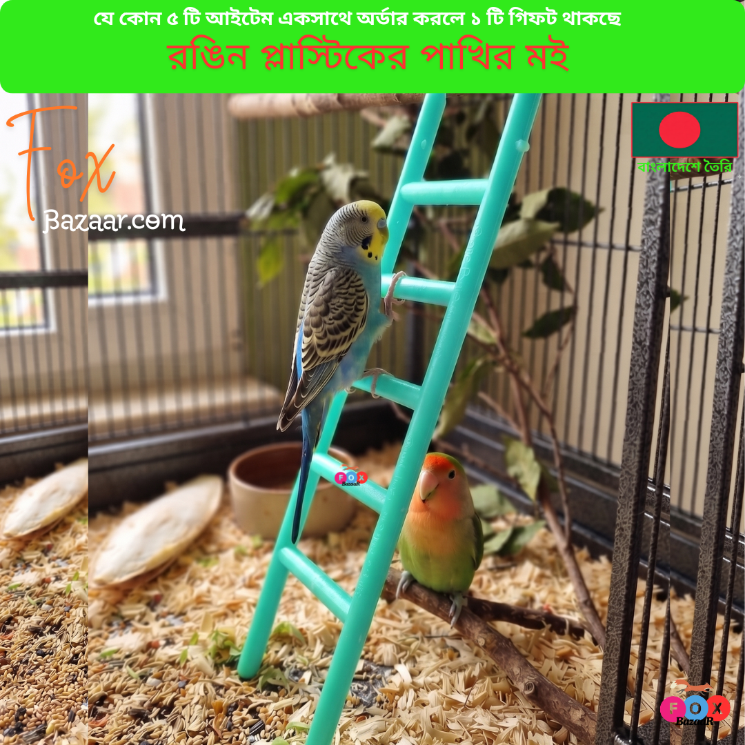 Code- 6092 রঙিন প্লাস্টিকের পাখির মই ও ক্লাইম্বিং খেলনা | Colorful Plastic Bird Ladder & Climbing Toy Code- 6092 রঙিন প্লাস্টিকের পাখির মই ও ক্লাইম্বিং খেলনা | Colorful Plastic Bird Ladder & Climbing Toy