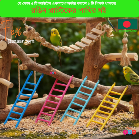Code- 6092 Colorful Plastic Bird Ladder Toy for Cage (Budgie, Lovebird) | bird cage,bird accessories,bird food,bird toys,bird nest,bird harness,bird cage big size,bird feeder,bird house,bird cage decoration,bird cage big size steel,cage small