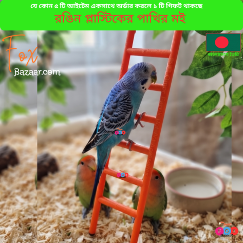 Code- 6092 Colorful Plastic Bird Ladder Toy for Cage (Budgie, Lovebird) | bird cage,bird accessories,bird food,bird toys,bird nest,bird harness,bird cage big size,bird feeder,bird house,bird cage decoration,bird cage big size steel,cage small