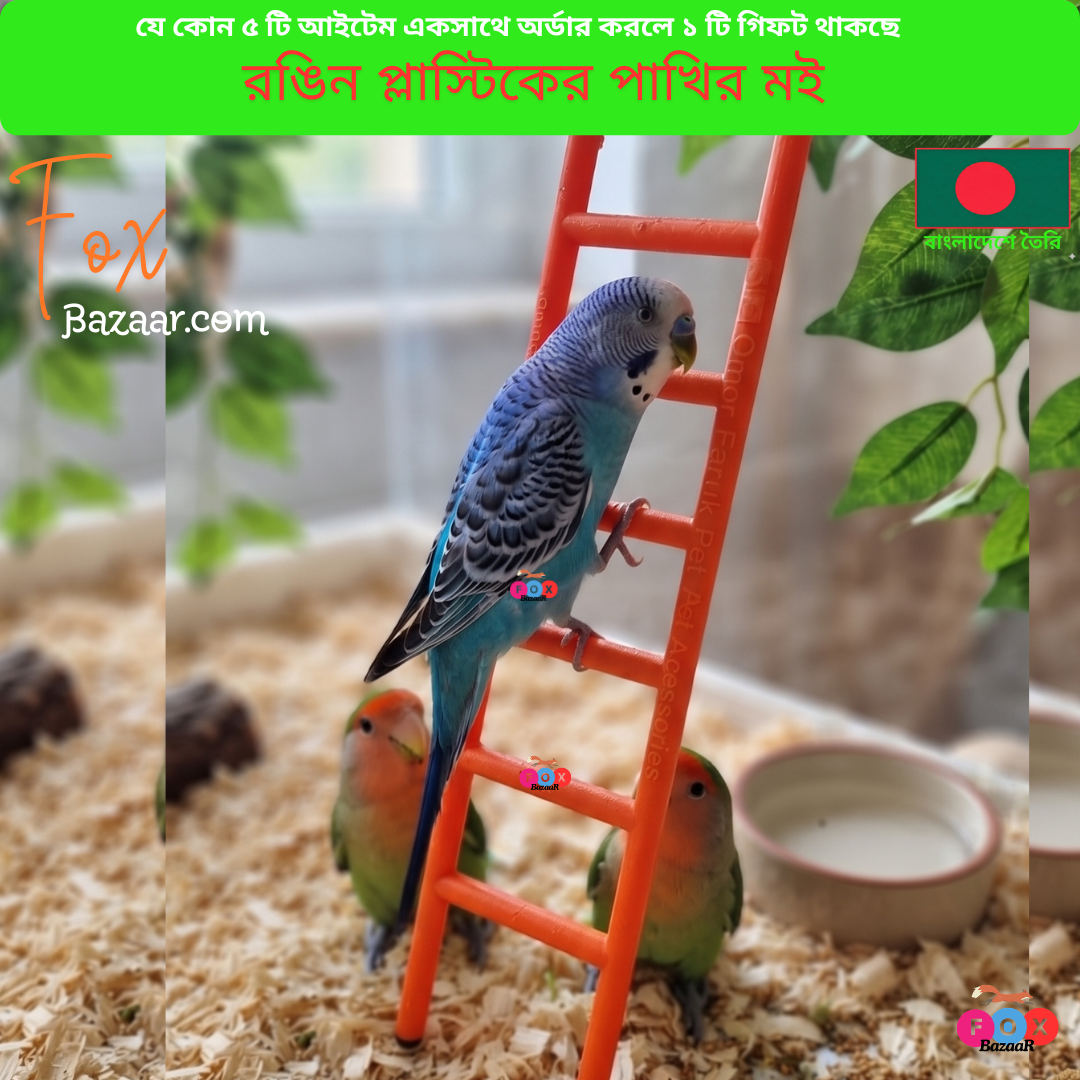 Code- 6092 Colorful Plastic Bird Ladder Toy for Cage (Budgie, Lovebird) | bird cage,bird accessories,bird food,bird toys,bird nest,bird harness,bird cage big size,bird feeder,bird house,bird cage decoration,bird cage big size steel,cage small