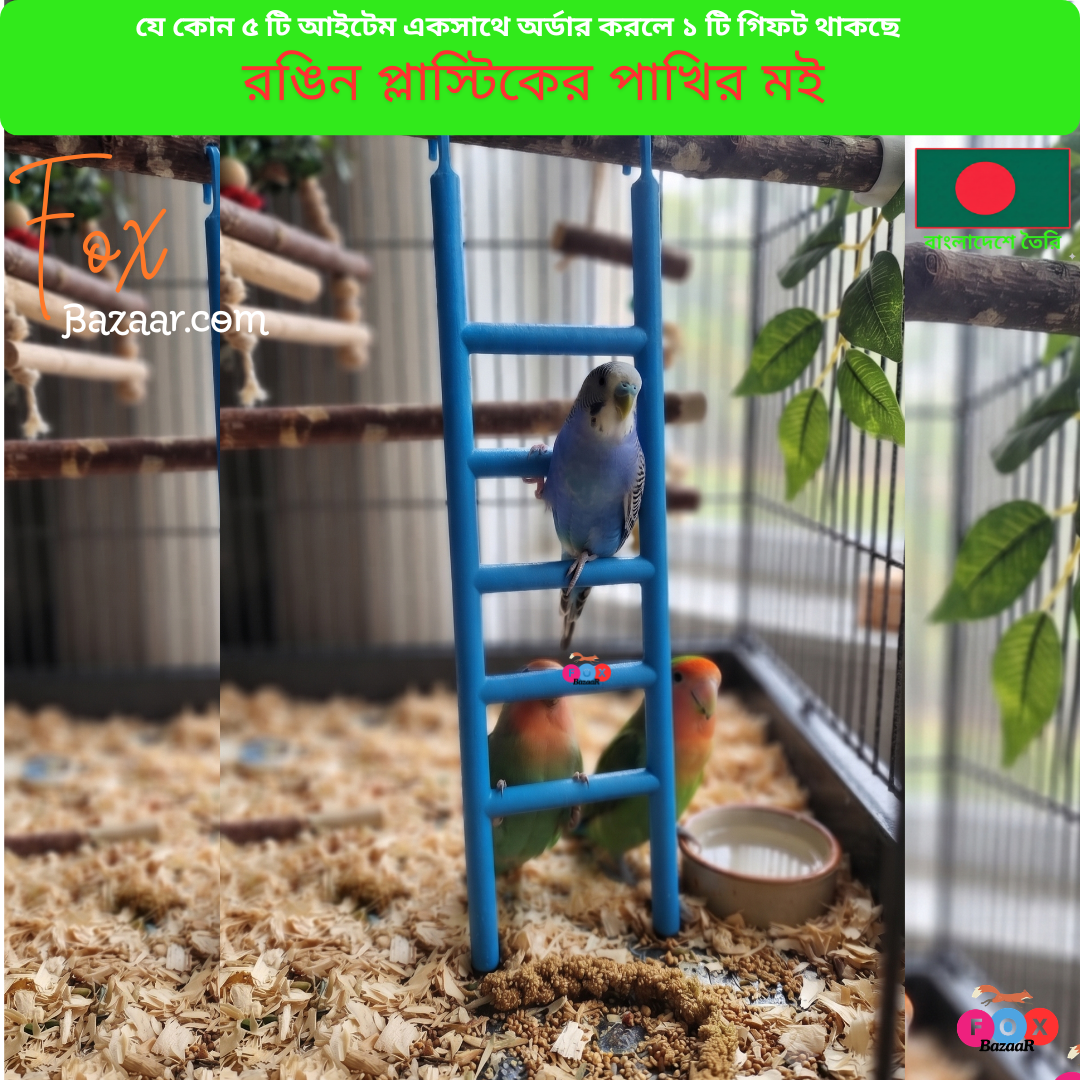 Code- 6092 রঙিন প্লাস্টিকের পাখির মই ও ক্লাইম্বিং খেলনা | Colorful Plastic Bird Ladder & Climbing Toy Code- 6092 রঙিন প্লাস্টিকের পাখির মই ও ক্লাইম্বিং খেলনা | Colorful Plastic Bird Ladder & Climbing Toy