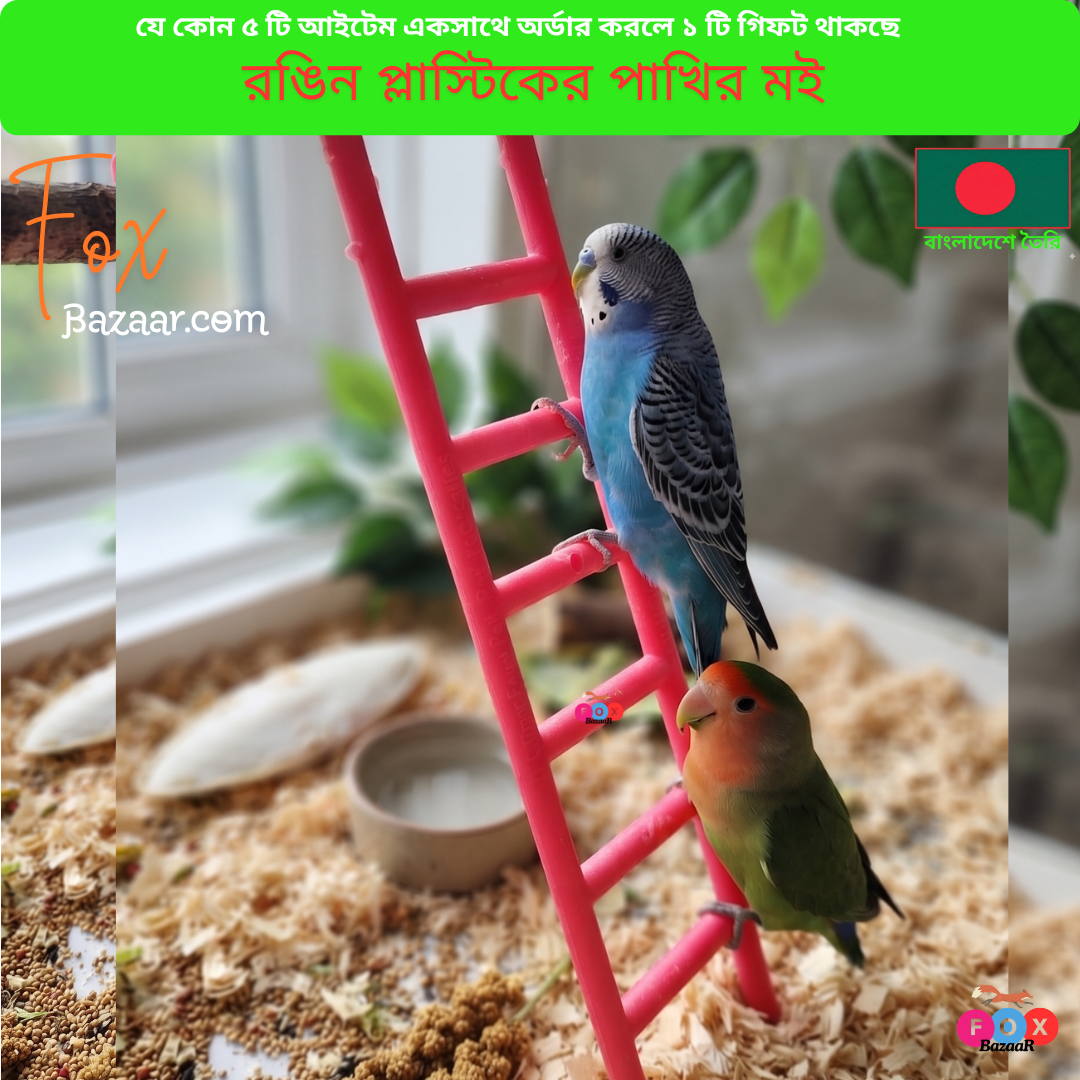 Code- 6092 রঙিন প্লাস্টিকের পাখির মই ও ক্লাইম্বিং খেলনা | Colorful Plastic Bird Ladder & Climbing Toy Code- 6092 রঙিন প্লাস্টিকের পাখির মই ও ক্লাইম্বিং খেলনা | Colorful Plastic Bird Ladder & Climbing Toy