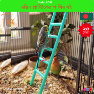 Colorful Plastic Bird Ladder & Climbing Toy
