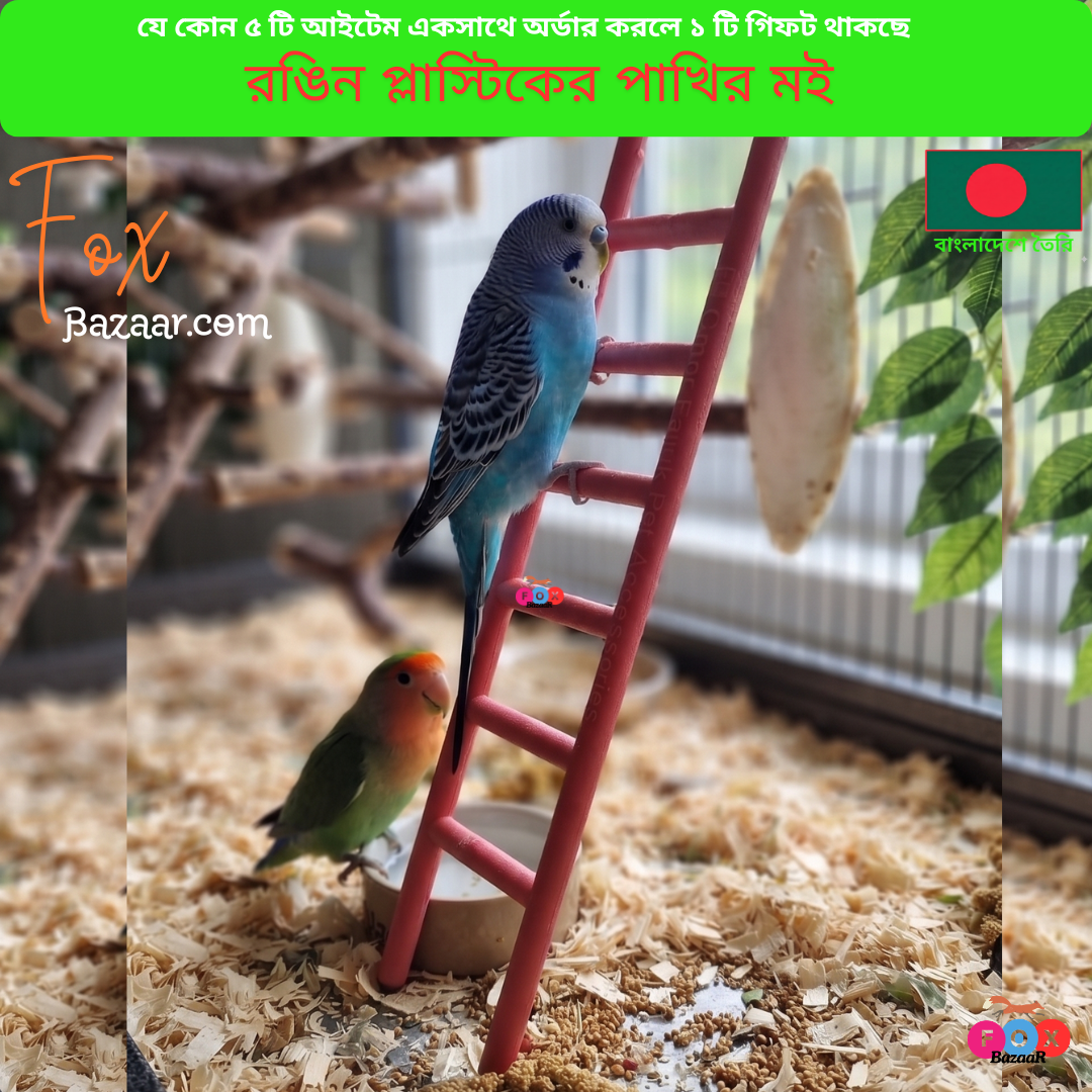 Code- 6092 রঙিন প্লাস্টিকের পাখির মই ও ক্লাইম্বিং খেলনা | Colorful Plastic Bird Ladder & Climbing Toy Code- 6092 রঙিন প্লাস্টিকের পাখির মই ও ক্লাইম্বিং খেলনা | Colorful Plastic Bird Ladder & Climbing Toy