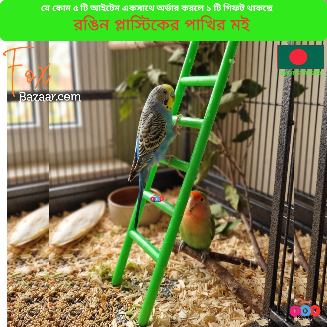 Code- 6092 রঙিন প্লাস্টিকের পাখির মই ও ক্লাইম্বিং খেলনা | Colorful Plastic Bird Ladder & Climbing Toy Code- 6092 রঙিন প্লাস্টিকের পাখির মই ও ক্লাইম্বিং খেলনা | Colorful Plastic Bird Ladder & Climbing Toy