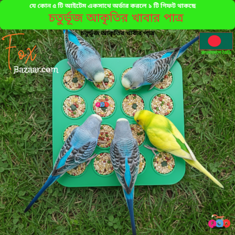 Code- 6006 Multi-Compartment Bird Food & Water Tray (Square Shape) | Feeder for Budgies, Lovebirds, Finches
