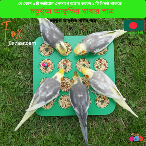 Code- 6006 Multi-Compartment Bird Food & Water Tray (Square Shape) | Feeder for Budgies, Lovebirds, Finches