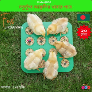 Multi-Compartment Square Bird Food & Water Tray Feeder