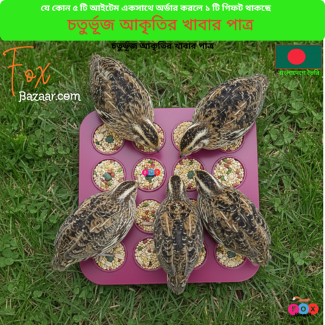 Code- 6006 Multi-Compartment Bird Food & Water Tray (Square Shape) | Feeder for Budgies, Lovebirds, Finches