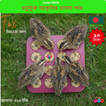 Code-6006 চতুর্ভুজ আকৃতির মাল্টি-কম্পার্টমেন্ট পাখির খাবার ও পানির পাত্র | Multi-Compartment Square Bird Food & Water Tray Feeder
