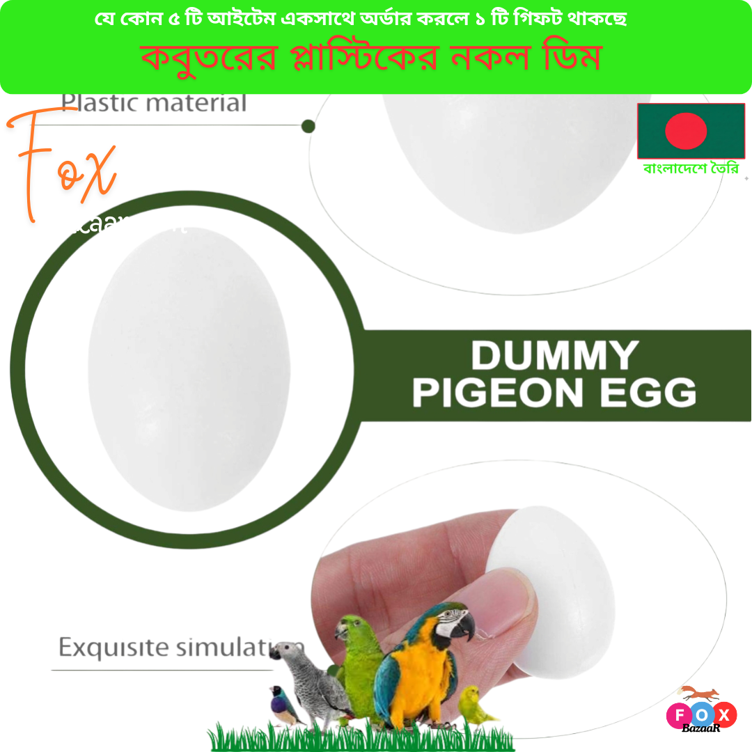 Code- 6031 – Pigeon Dummy Eggs _ Plastic Fake Hatching Eggs (3)(1) Code- 6031 – Pigeon Dummy Eggs _ Plastic Fake Hatching Eggs (3)(1)