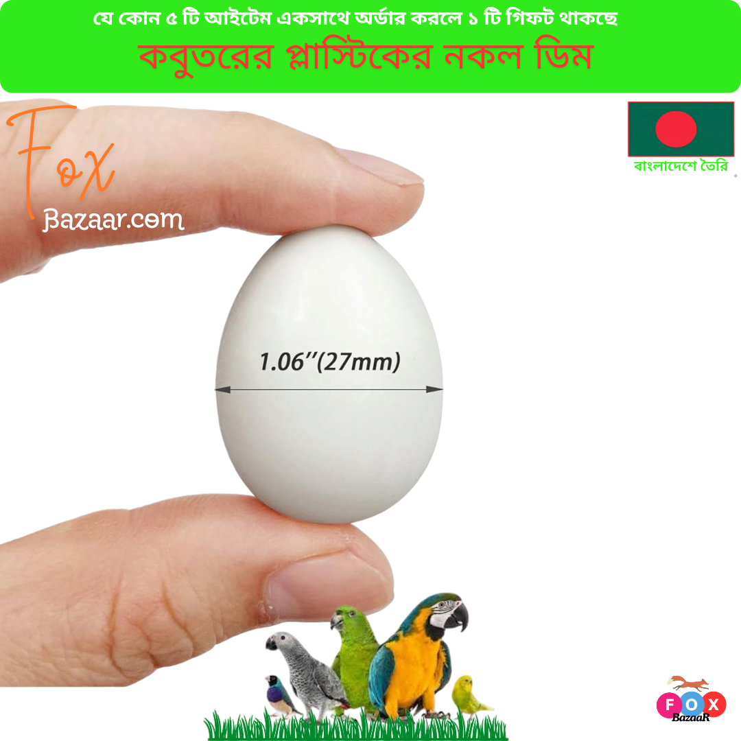 Code- 6031কবুতরের প্লাস্টিকের নকল ডিম ও ফেক হ্যাচিং এগ | Pigeon Dummy Eggs & Plastic Fake Hatching Eggs – FoxBazaar Code- 6031কবুতরের প্লাস্টিকের নকল ডিম ও ফেক হ্যাচিং এগ | Pigeon Dummy Eggs & Plastic Fake Hatching Eggs – FoxBazaar