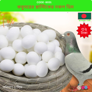 Pigeon Dummy Eggs & Plastic Fake Hatching Eggs
