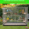 20 x 16 & 24 x 18 Inches 2 Room 2 Door Multi-Purpose Metal Wire Cage for Small Birds, Kitten & Puppy | Foldable Pet Carrier/House | Fox Bazaar