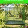 24 x 24 Inches Square Shape Bird Color Full metal wire cage for Foldable Pet Carrier/House | Fox Bazaar for Budgerigar, Lovebirds, Finches, Parrots, Hamster, Cockatiel, Chicken, Duck, Quail, Rabbit , Cat, Dog , Dove