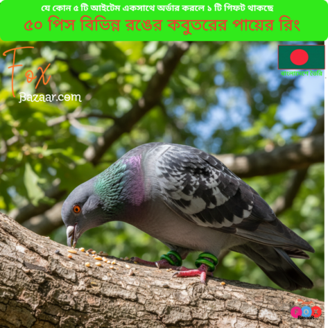 Code- 6071 Durable Pigeon Foot Rings | Bird Leg Bands for Identification & Tracking - Various Color