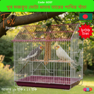 House Shape Colorful Bird Cage (10x12, 18x12, 20x16, 24x18 Inch, Pink, Blue, Sky Blue)
