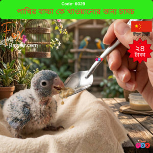 Stainless Steel Spoon for Baby Bird Feeding & Hand Feeding Spoon
