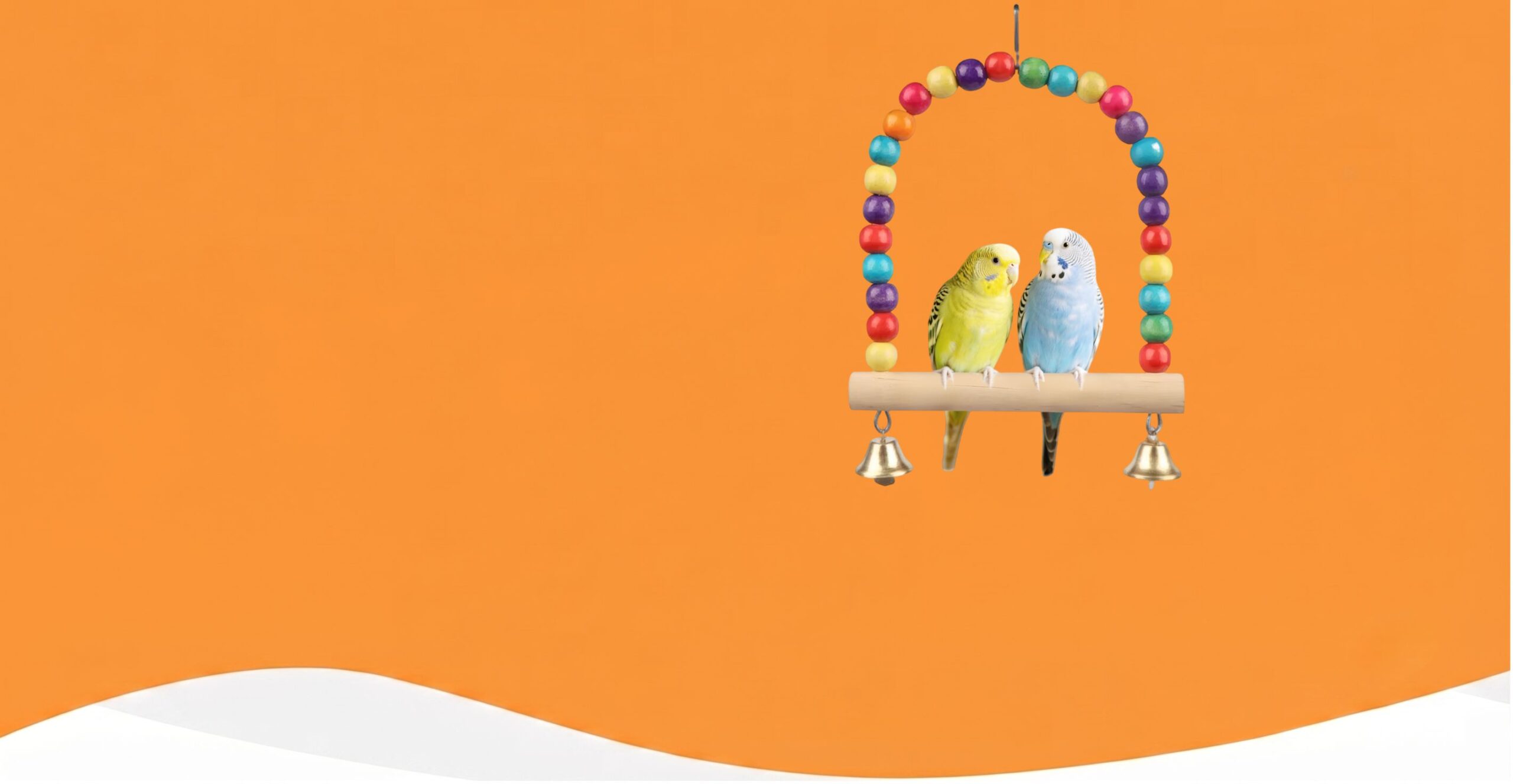 foxbazaar.com top banner
