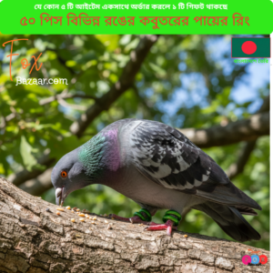 Code- 6071 বিভিন্ন রঙের কবুতরের পায়ের রিং ও বার্ড লেগ ব্যান্ড | Durable Pigeon Foot Rings & Bird Leg Bands