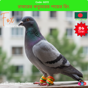 Durable Pigeon Rubber Foot Rings & Bird Leg Bands