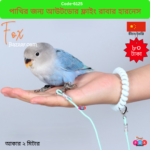 Code- 6125 পাখির নিরাপদ আউটডোর ফ্লাইংয়ের জন্য অ্যান্টি-শক ইলাস্টিক লিশ (Bird Flying Rope) | Anti-shock elastic leash for safe outdoor flying of birds