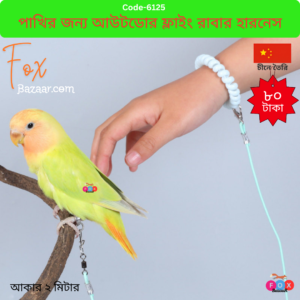 Anti-shock elastic leash for safe outdoor flying of birds