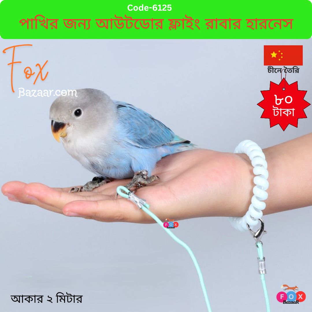 Anti-shock elastic leash for safe outdoor flying of birds