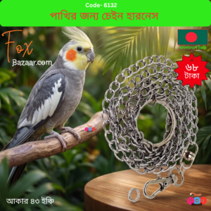 Sturdy chain harness for safe outdoor flying for birds