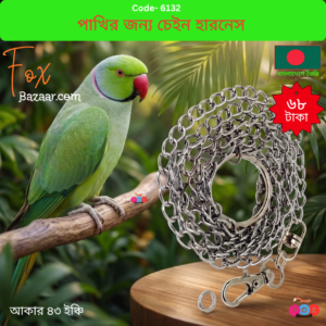 Sturdy chain harness for safe outdoor flying for birds