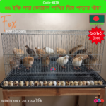 Code- 6179 ৩৬ ইঞ্চি লম্বা সাইজের প্রিমিয়াম কোয়েল পাখির ডিম পাড়ার কেজ ও খামার খাঁচা | 36x24x12 Inch Large Quail Laying Cage