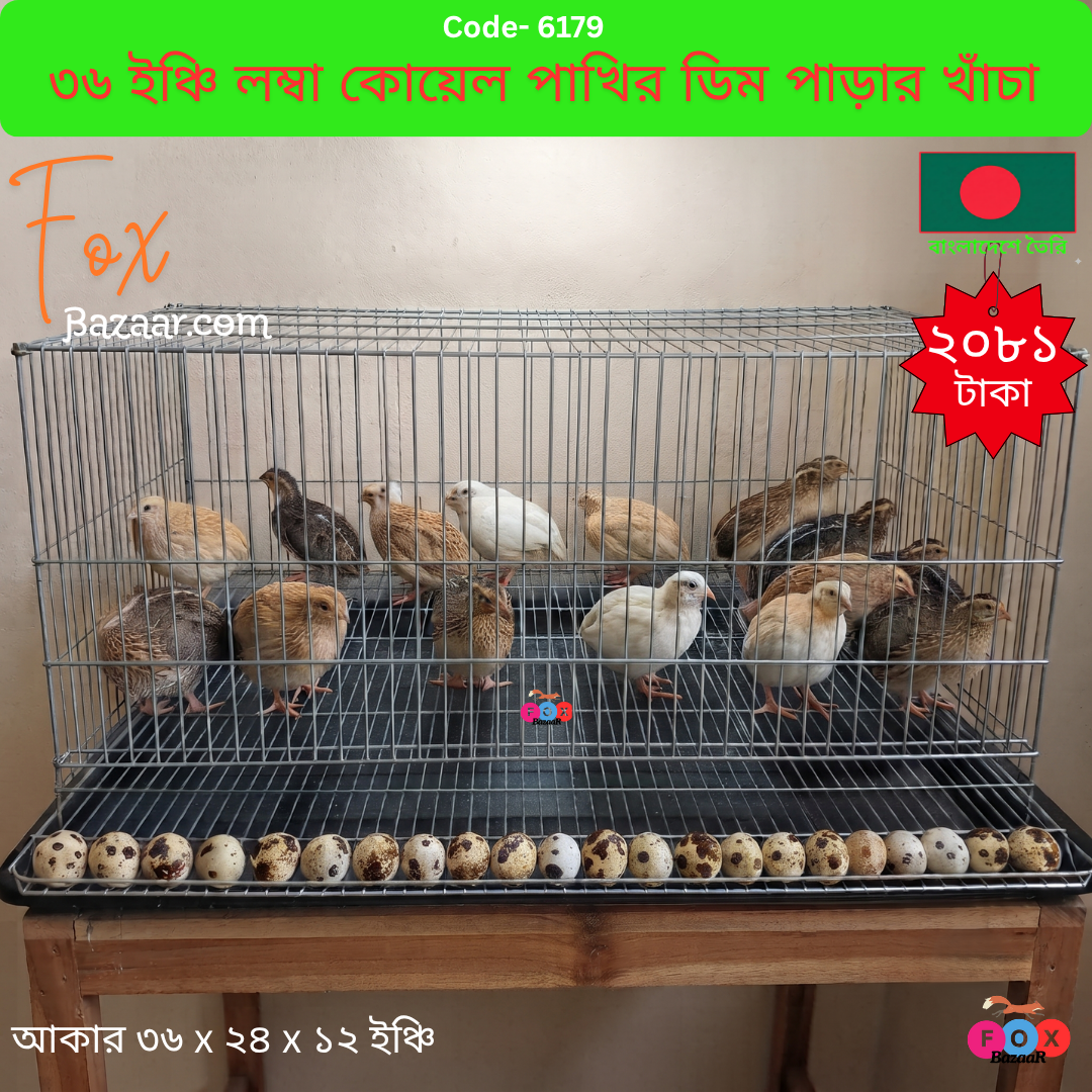 Code- 6179 ৩৬ ইঞ্চি লম্বা সাইজের প্রিমিয়াম কোয়েল পাখির ডিম পাড়ার কেজ ও খামার খাঁচা | 36x24x12 Inch Large Quail Laying Cage